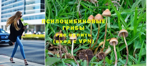 дурь Балахна